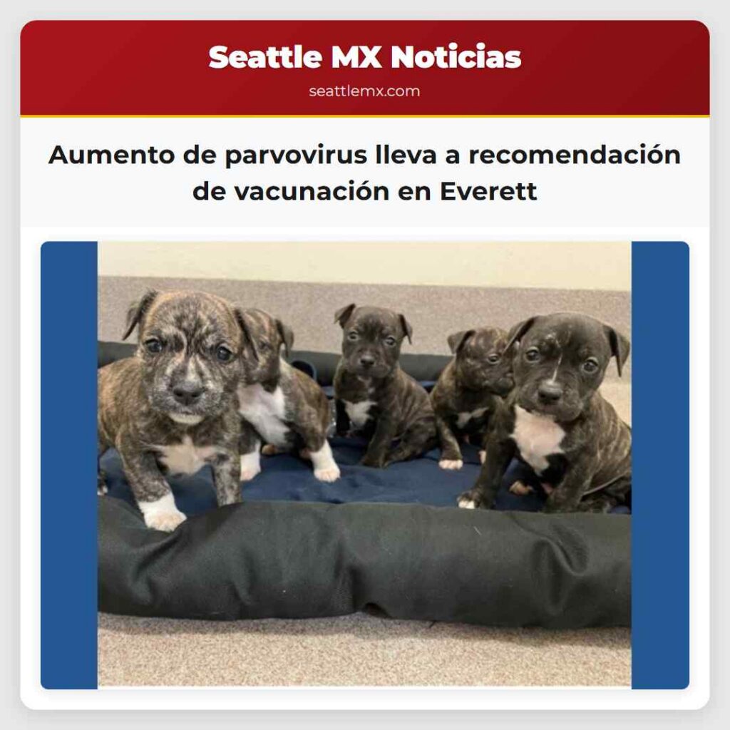 Aumento de parvovirus lleva a recomendación de