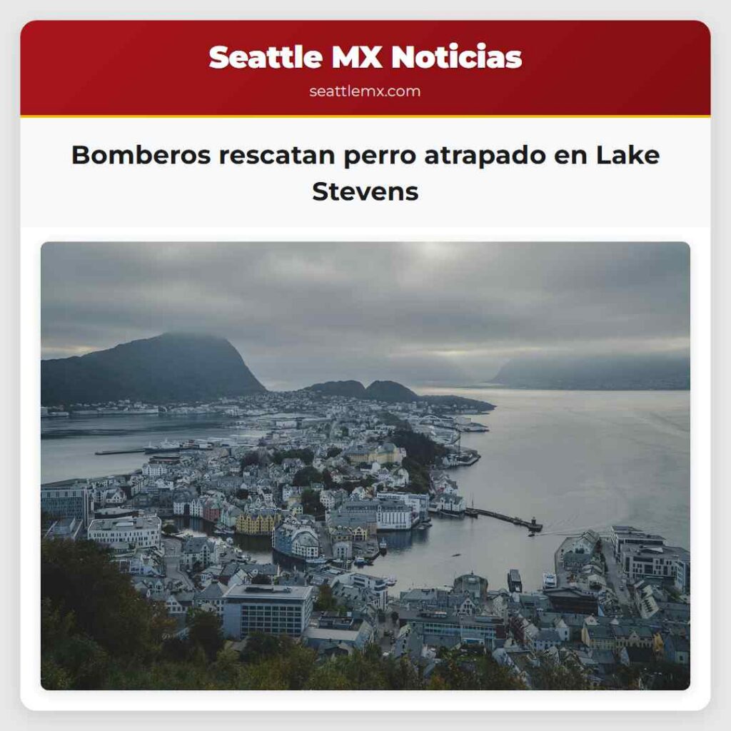 Bomberos rescatan perro atrapado en Lake Stevens