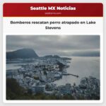 Bomberos rescatan perro atrapado en Lake Stevens
