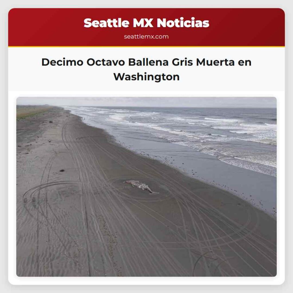 Decimo Octavo Ballena Gris Muerta en Washington