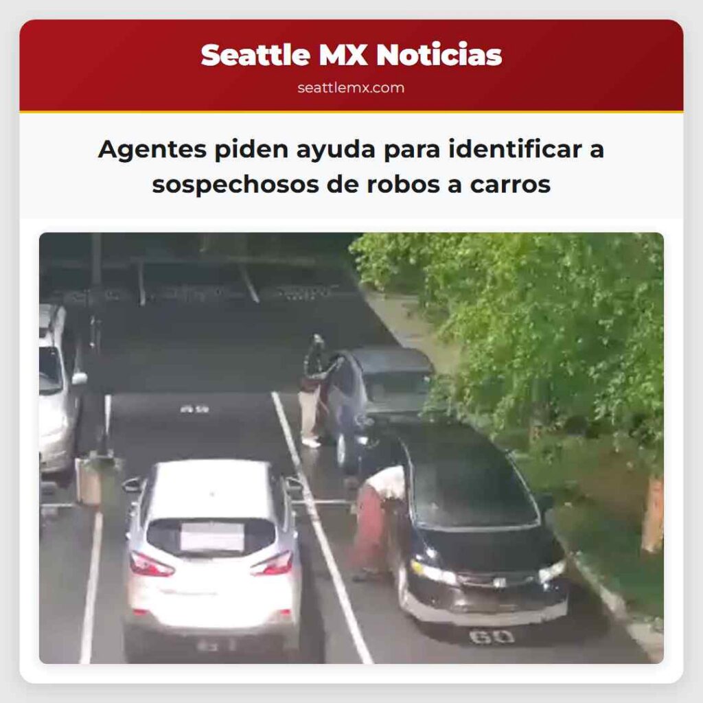 Agentes piden ayuda para identificar a