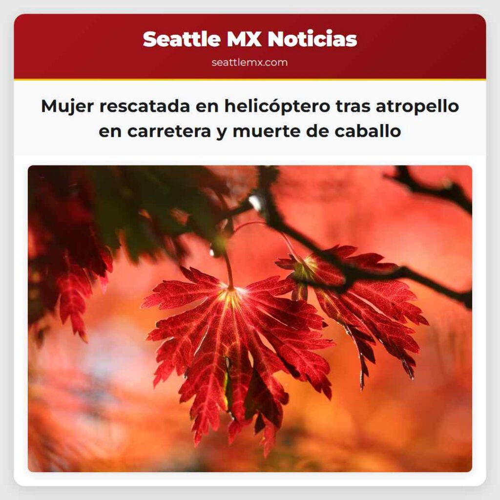 Mujer rescatada en helicóptero tras atropello en