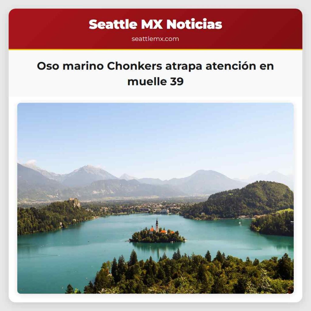 Oso marino Chonkers atrapa atención en muelle 39