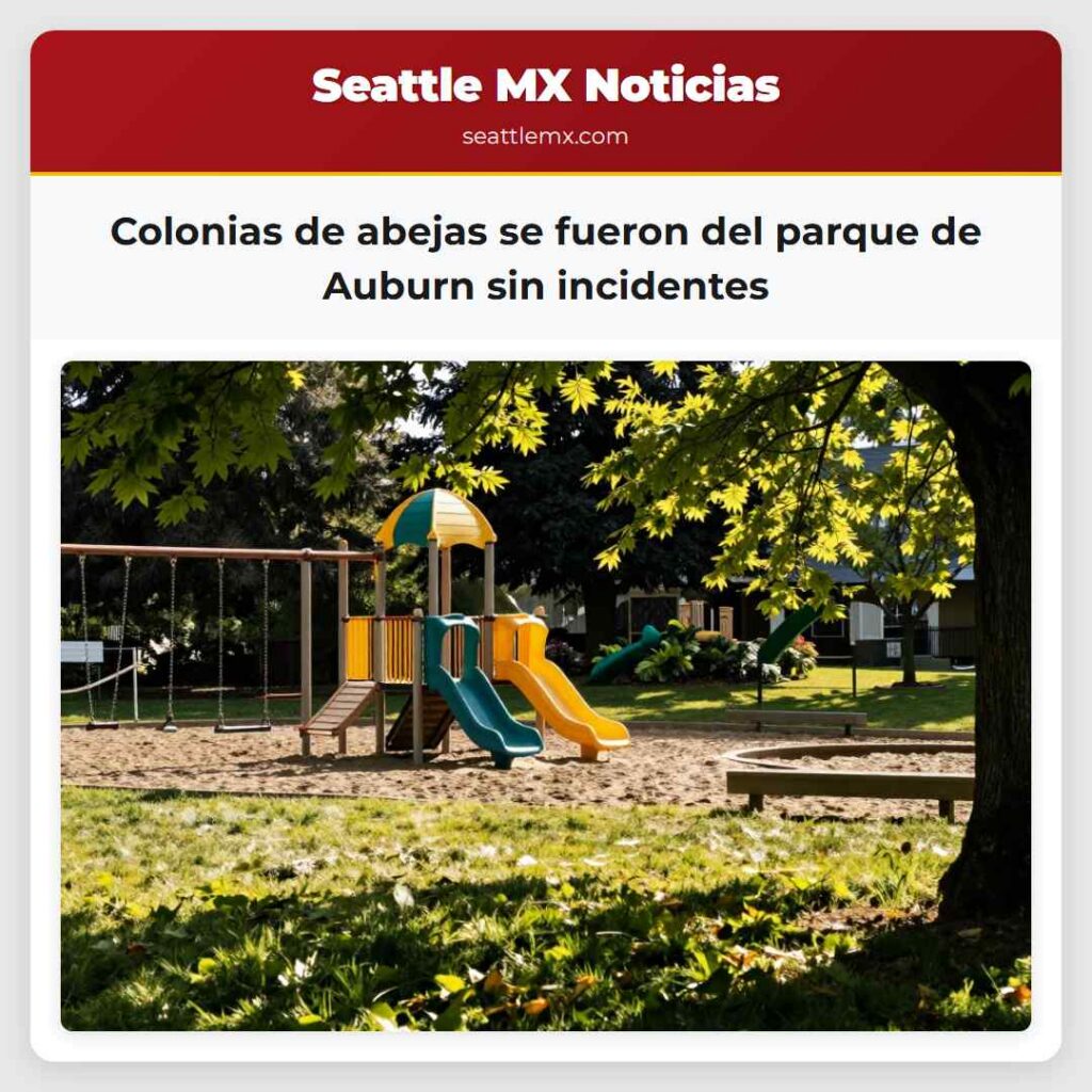 Colonias de abejas se fueron del parque de Auburn