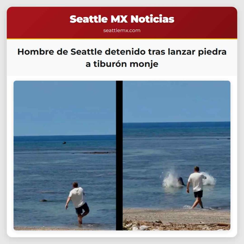 Noticias De Seattle 1 Hombre de Seattle detenido tras lanzar piedra a