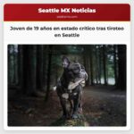 Joven de 19 años en estado crítico tras tiroteo en Seattle