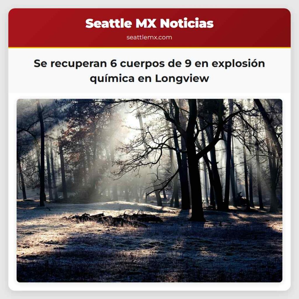 Se recuperan 6 cuerpos de 9 en explosión química