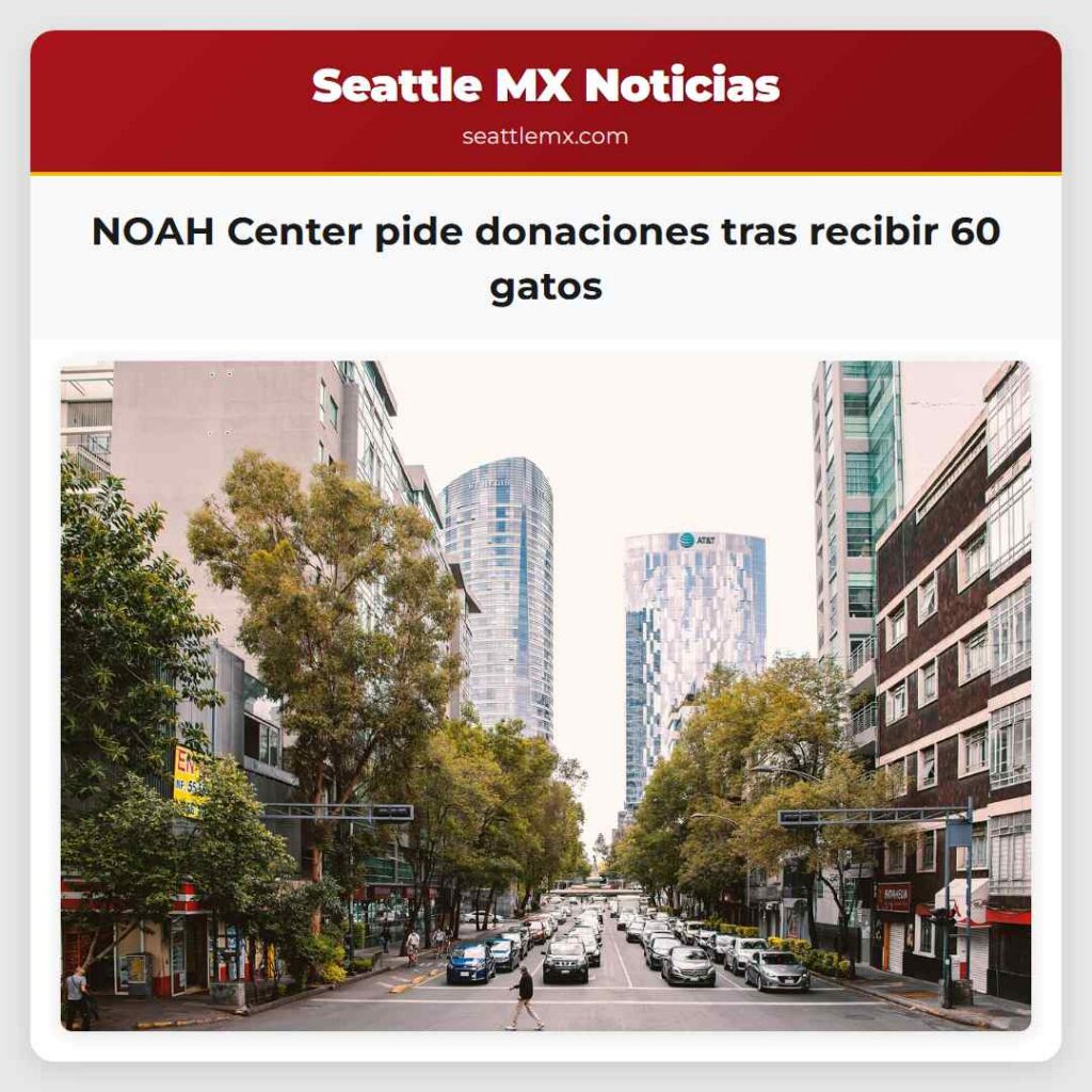 NOAH Center pide donaciones tras recibir 60 gatos