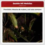 Previsión Mezcla de nubes y sol esta semana