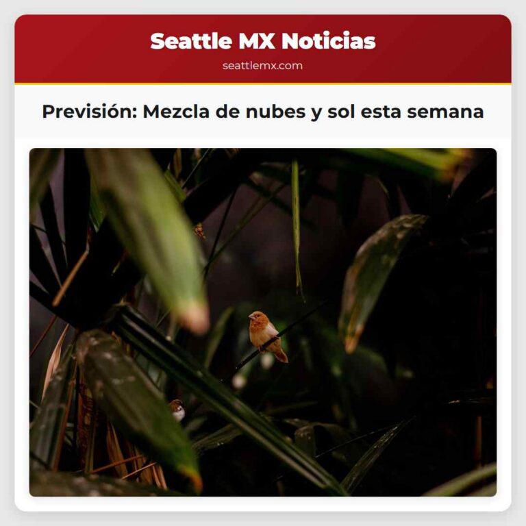 Previsión Mezcla de nubes y sol esta semana