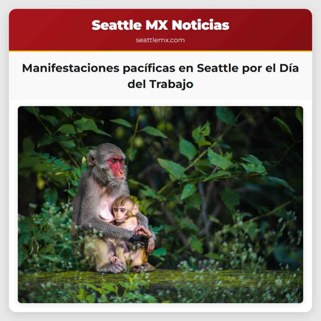Manifestaciones pacíficas en Seattle por el Día