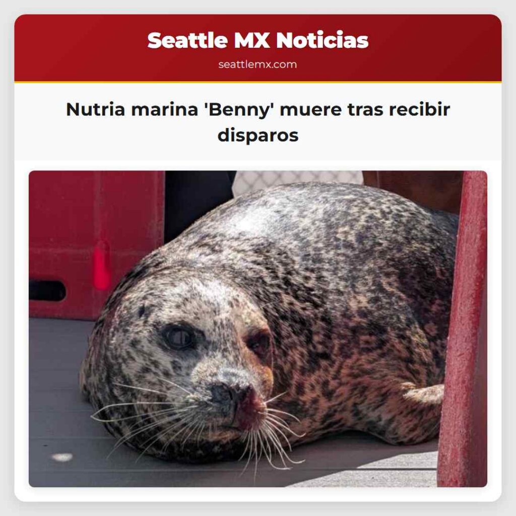 Nutria marina 'Benny' muere tras recibir disparos