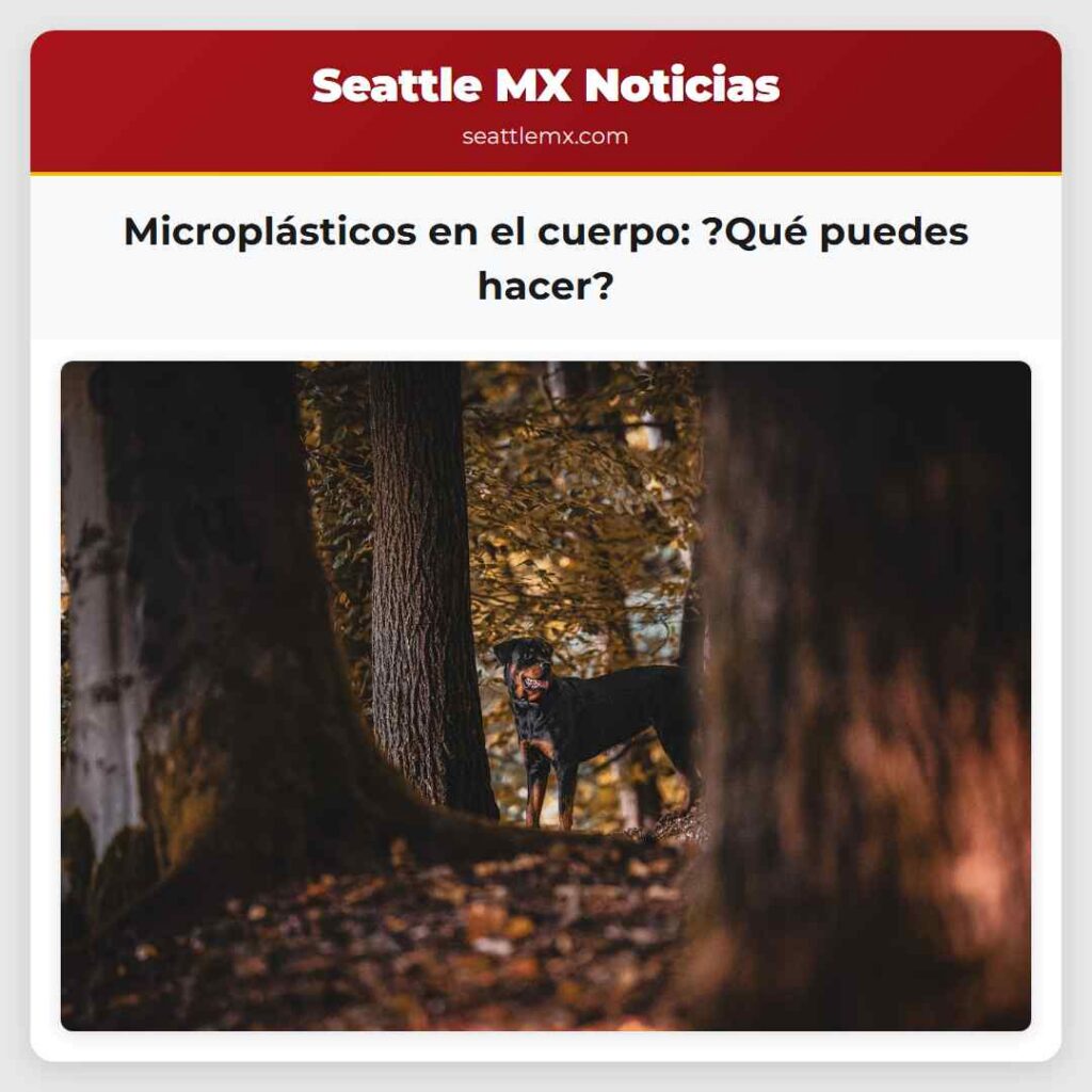 Microplásticos en el cuerpo: ?Qué puedes hacer?