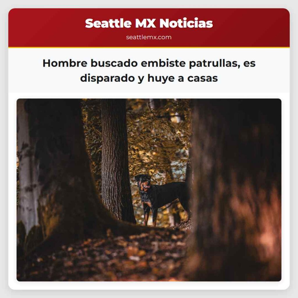 Hombre buscado embiste patrullas, es disparado y