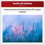 Suben precios de boletos aéreos 27% según expertos