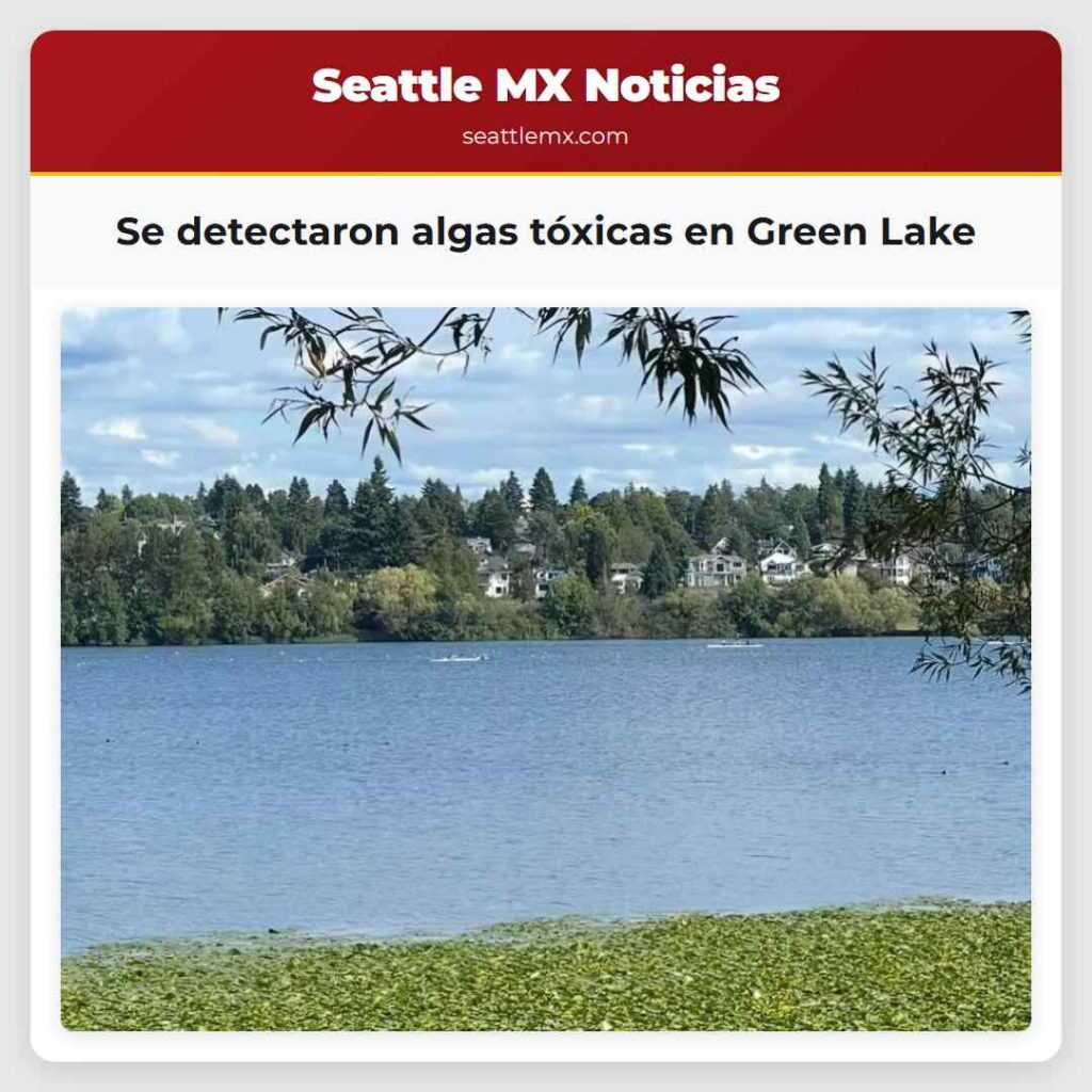 Se detectaron algas tóxicas en Green Lake