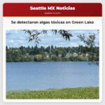 Se detectaron algas tóxicas en Green Lake