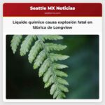Líquido químico causa explosión fatal en fábrica de Longview