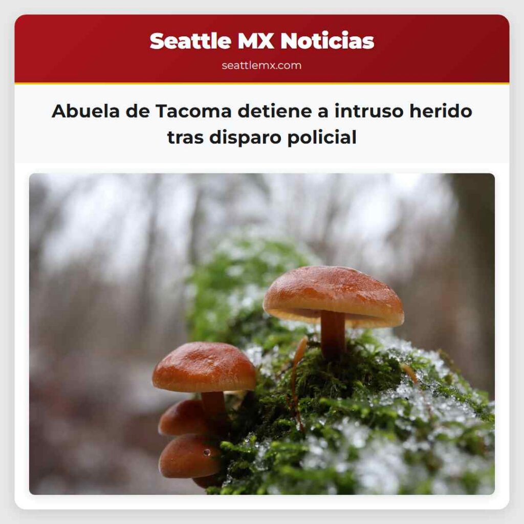 Abuela de Tacoma detiene a intruso herido tras