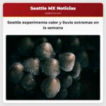 Seattle experimenta calor y lluvia extremas en la semana