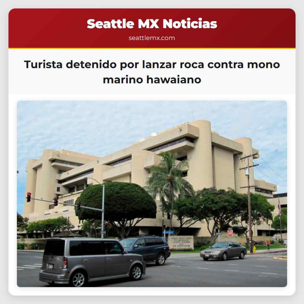 Turista detenido por lanzar roca contra mono