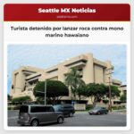 Turista detenido por lanzar roca contra mono marino hawaiano