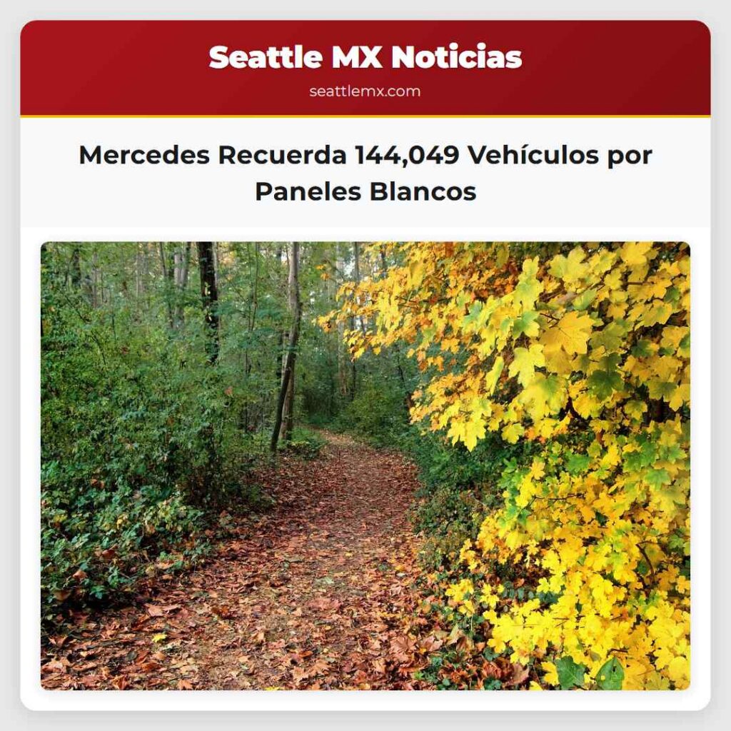 Mercedes Recuerda 144,049 Vehículos por Paneles