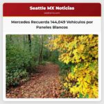 Mercedes Recuerda 144049 Vehículos por Paneles Blancos