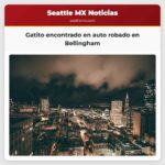 Gatito encontrado en auto robado en Bellingham