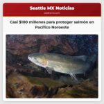 Casi $100 millones para proteger salmón en Pacífico Noroeste