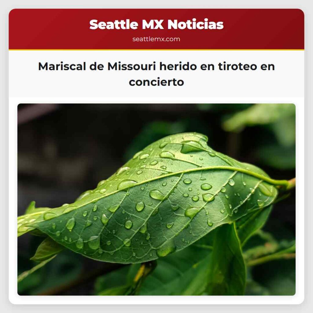Mariscal de Missouri herido en tiroteo en