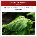Mariscal de Missouri herido en tiroteo en concierto