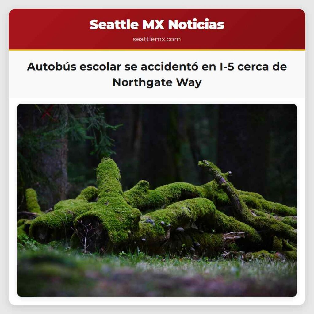 Autobús escolar se accidentó en I-5 cerca de