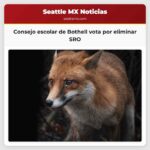 Consejo escolar de Bothell vota por eliminar SRO