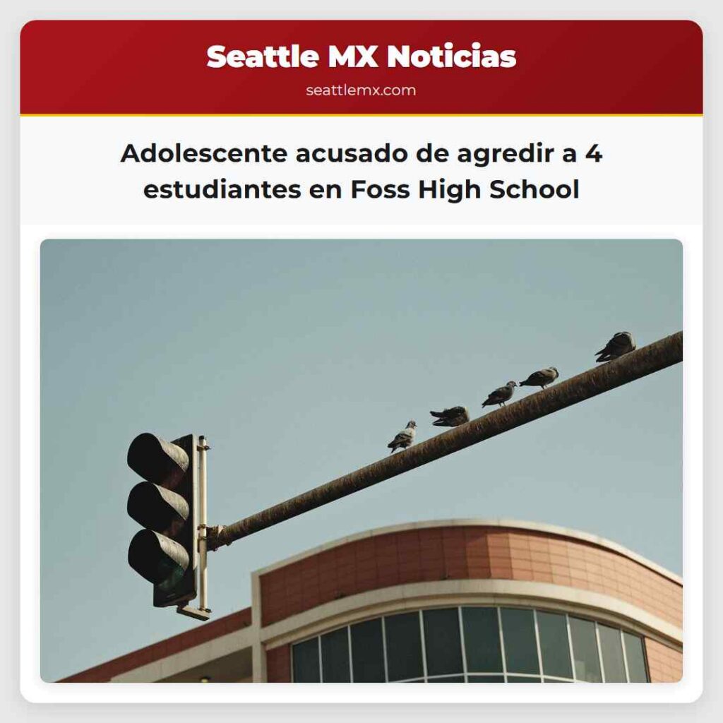 Adolescente acusado de agredir a 4 estudiantes en