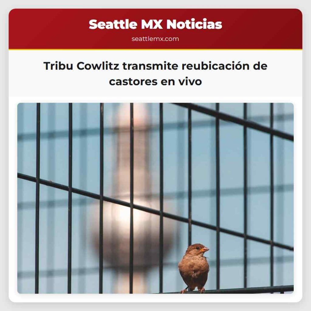 Tribu Cowlitz transmite reubicación de castores
