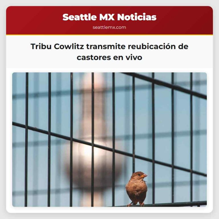 Tribu Cowlitz transmite reubicación de castores en vivo