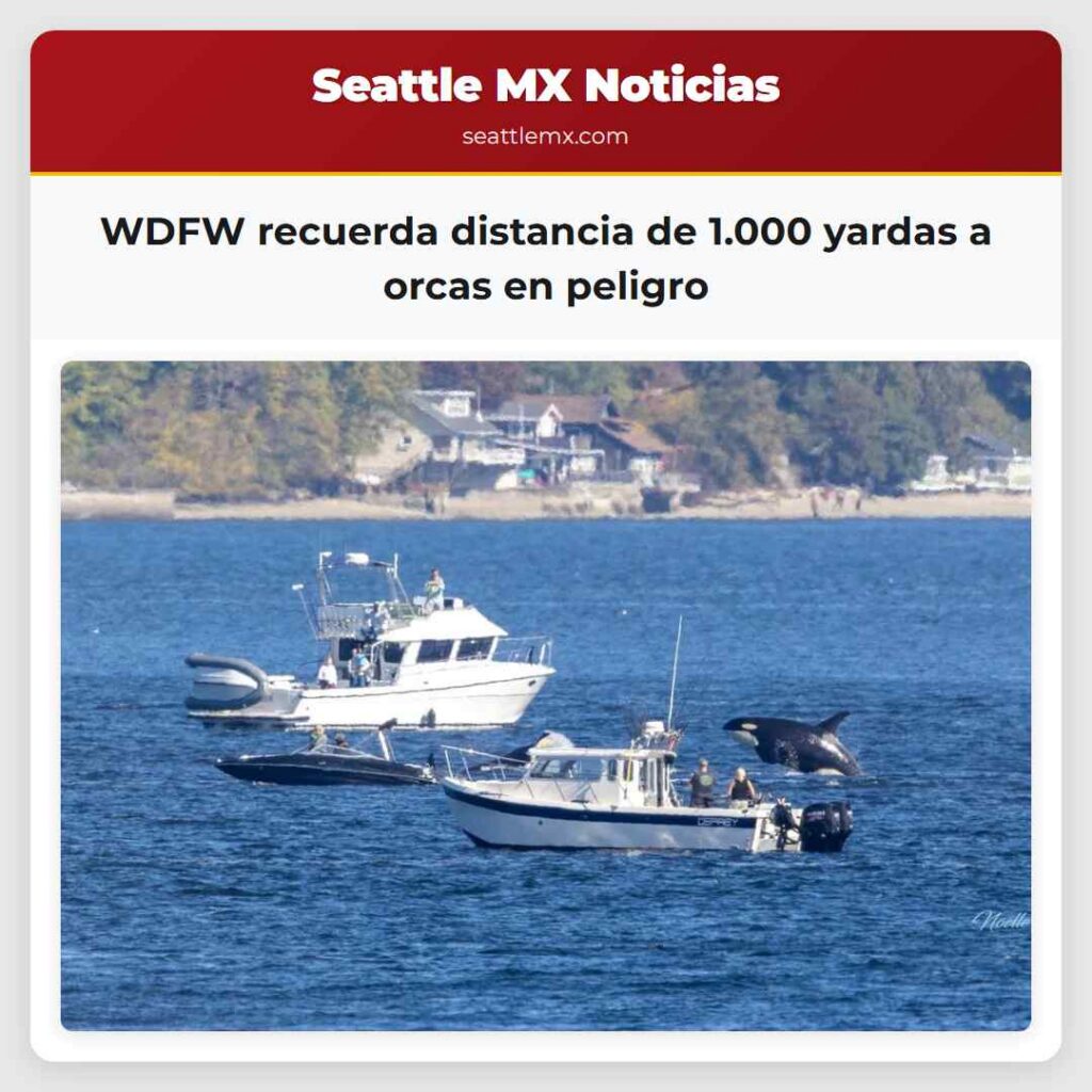 WDFW recuerda distancia de 1.000 yardas a orcas