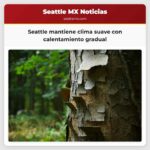 Seattle mantiene clima suave con calentamiento gradual