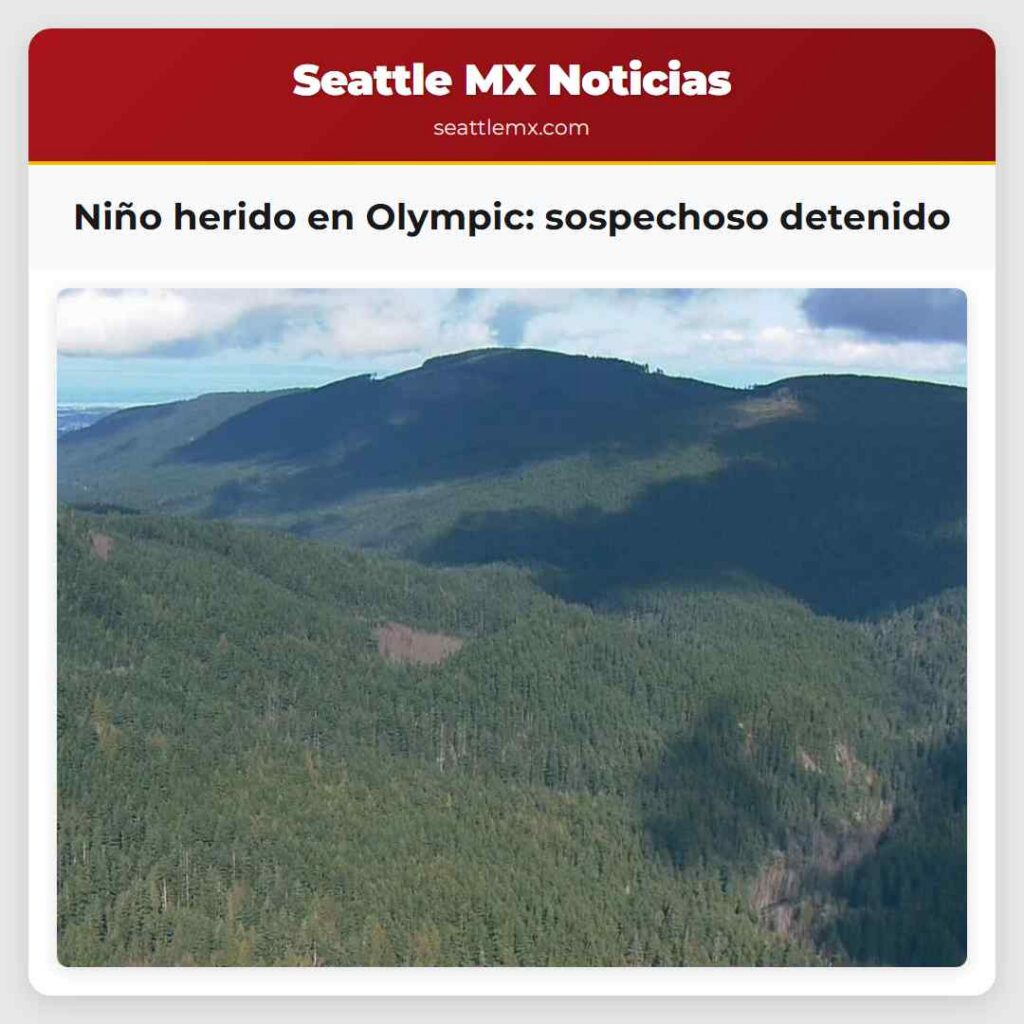 Niño herido en Olympic: sospechoso detenido