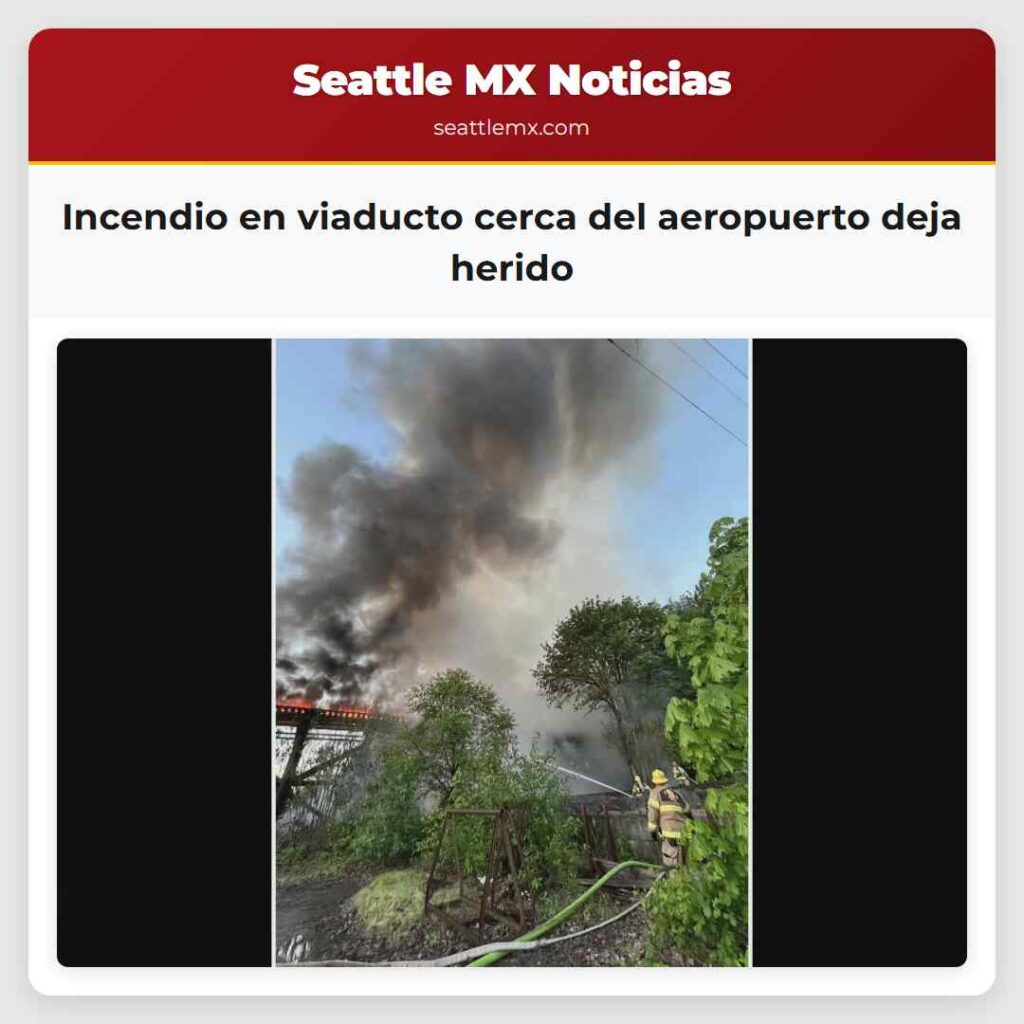 Incendio en viaducto cerca del aeropuerto deja