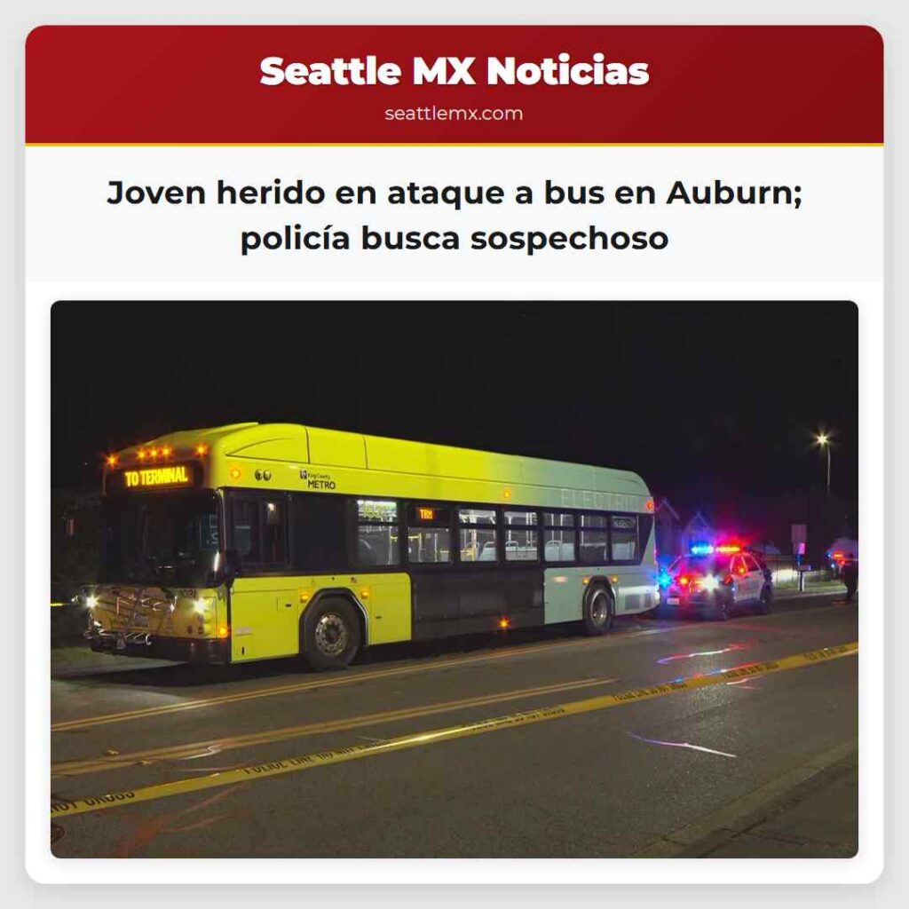 Joven herido en ataque a bus en Auburn; policía