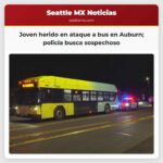 Joven herido en ataque a bus en Auburn policía busca sospechoso