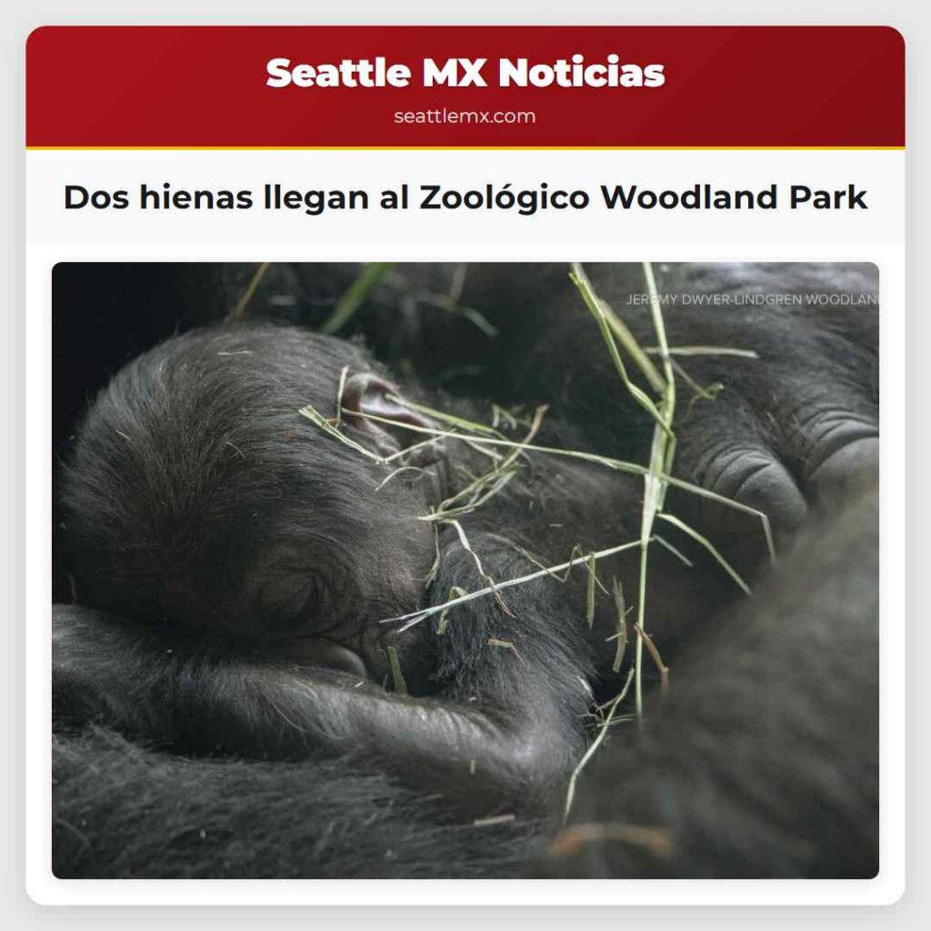 Dos hienas llegan al Zoológico Woodland Park
