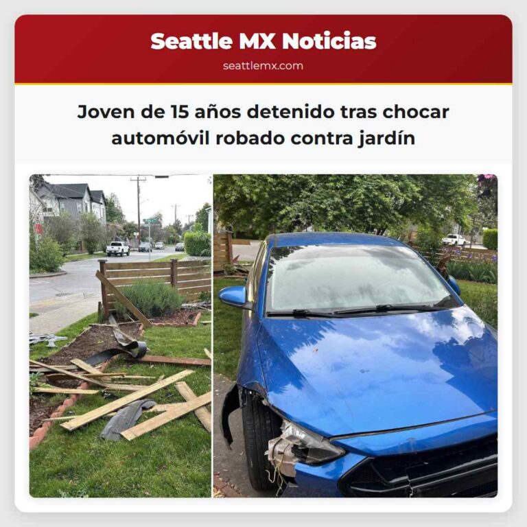 Joven de 15 años detenido tras chocar automóvil robado contra jardín