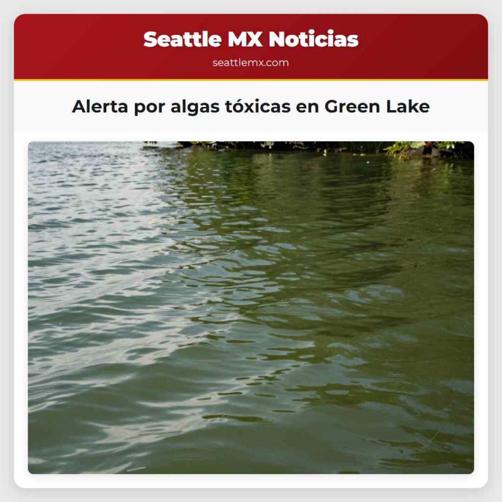 Noticias De Seattle 3 Alerta por algas tóxicas en Green Lake