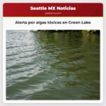 Alerta por algas tóxicas en Green Lake