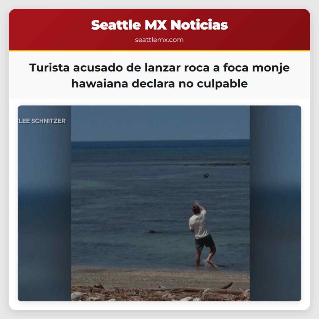 Turista acusado de lanzar roca a foca monje