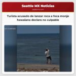 Turista acusado de lanzar roca a foca monje hawaiana declara no culpable