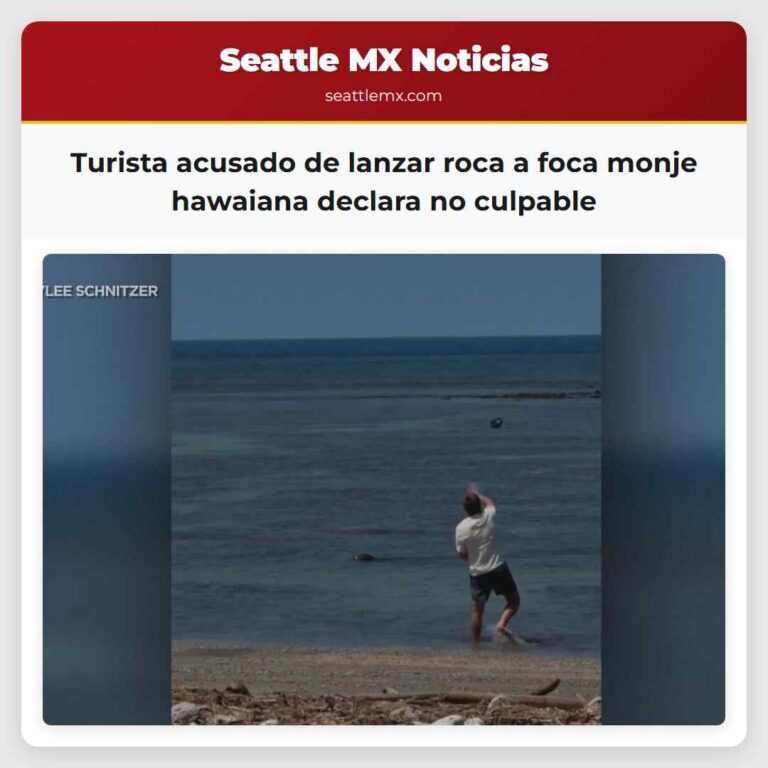 Turista acusado de lanzar roca a foca monje hawaiana declara no culpable